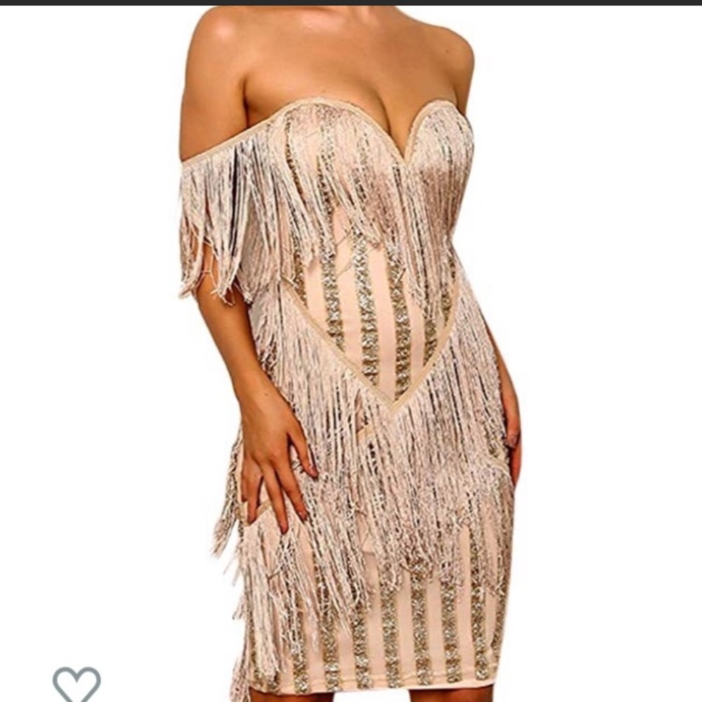 1920s glitter fringe dress!